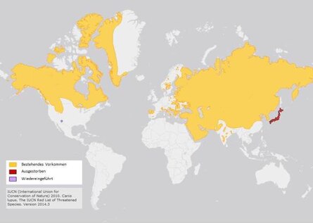 Wolfsvorkommen In Europa Und Weltweit Sachsen De