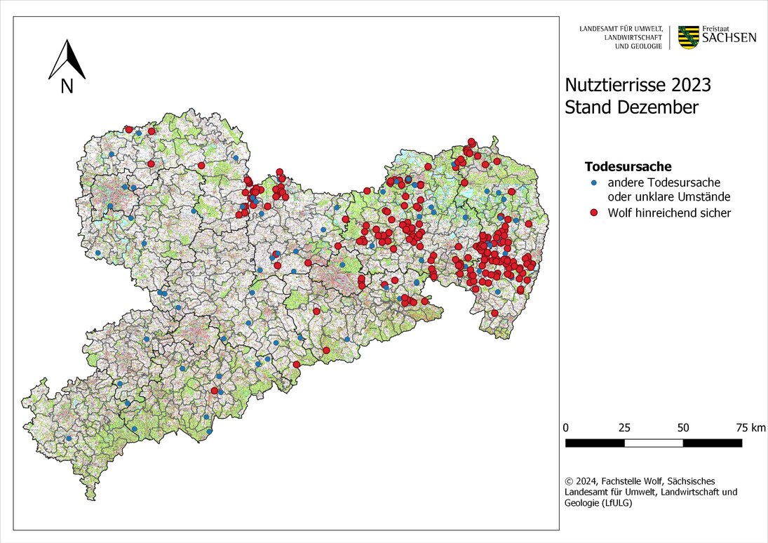 Abb. 2: Karte von Sachsen mit Darstellung der gemeldeten Nutztierübergriffe nach Ortsangabe bis Stand Ende Dezember 2023
