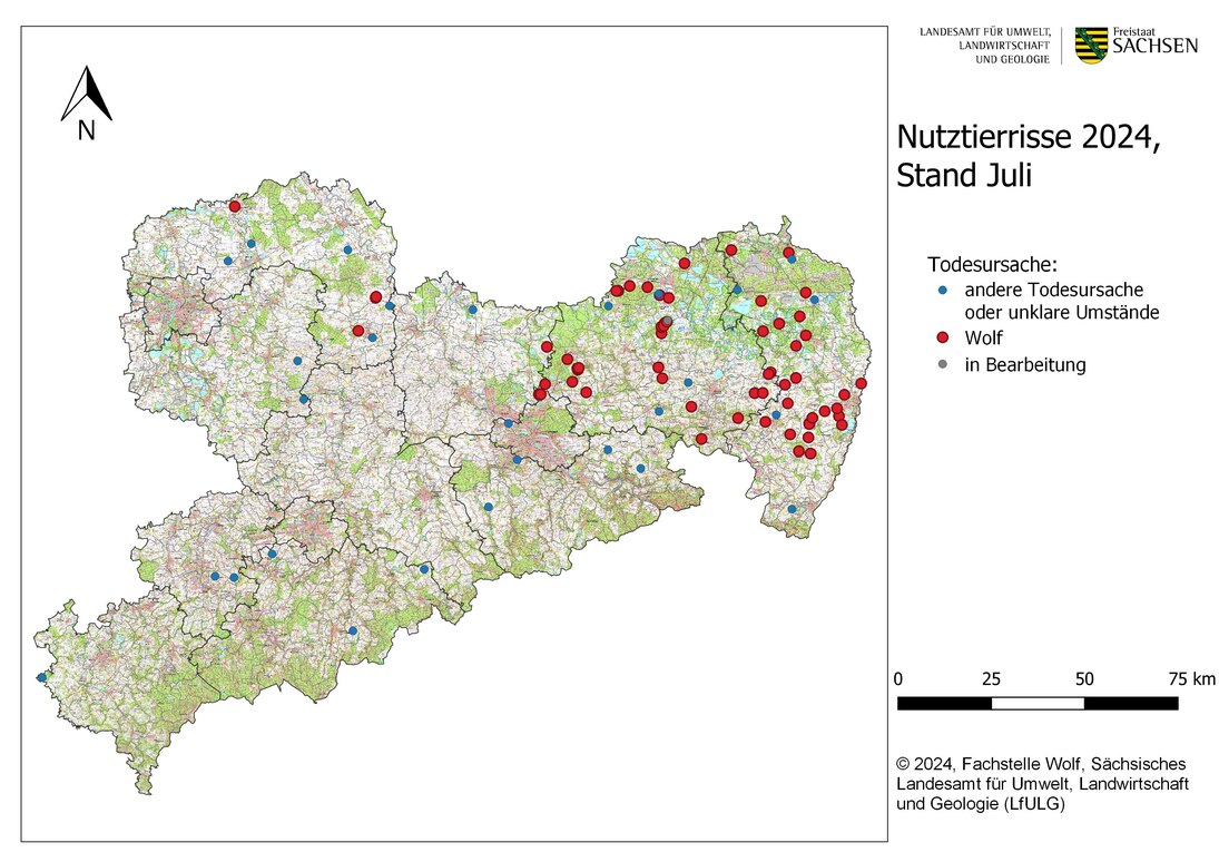 Abb. 1: Karte von Sachsen mit Darstellung der gemeldeten Nutztierübergriffe nach Ortsangabe bis Stand Ende Juli 2024