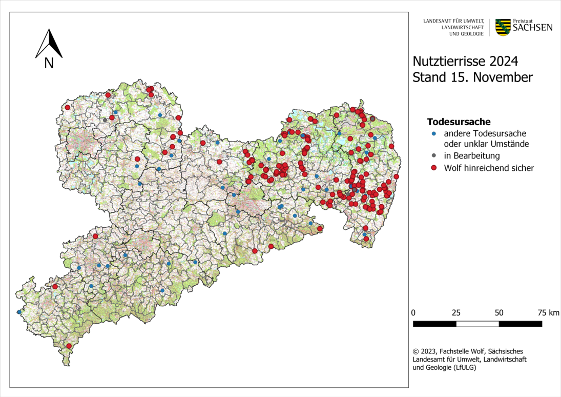 Abb. 1: Karte von Sachsen mit Darstellung der gemeldeten Nutztierübergriffe nach Ortsangabe bis Stand 15. November 2024