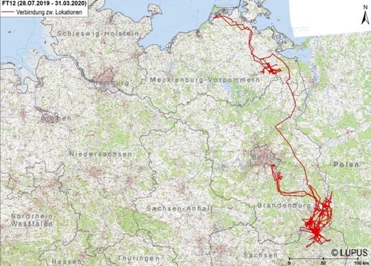 Karte mit den Lokationsdaten von FT12 vom 28. Juli 2019 bis 31. März 2020