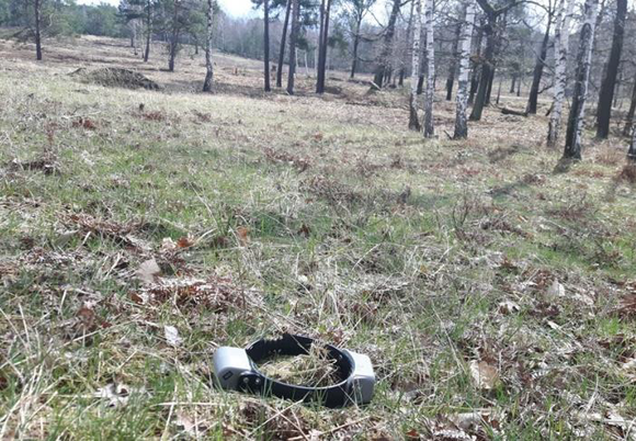 Der zerbissene Halsbandsender von FT13 liegt im Wald auf dem Boden.